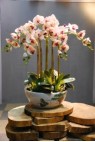 decorative artificial silk flower arrangements p001